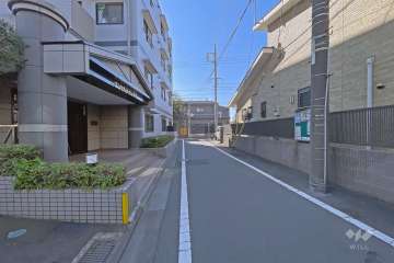 敷地の西側道路（北側から）