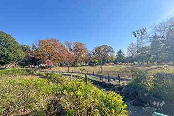 敷地に隣接する『萩中公園少年野球場』