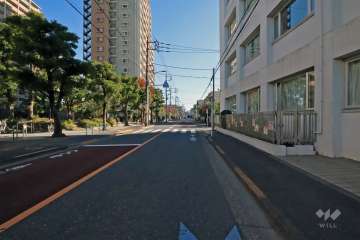 敷地南側の前面道路(西側から)