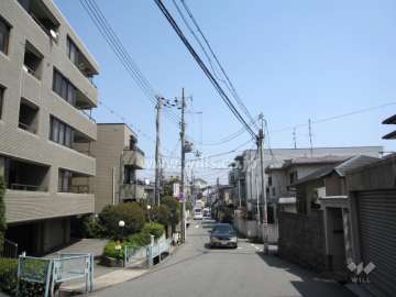 敷地の西側には桜の木があります。