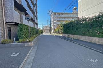 敷地西側の前面道路（北側から）