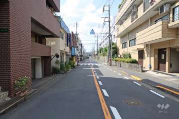 敷地北東側の前面道路(北側から)