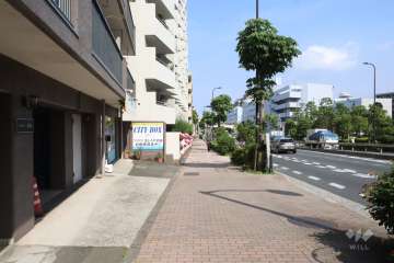 敷地南側の前面道路(西側から)