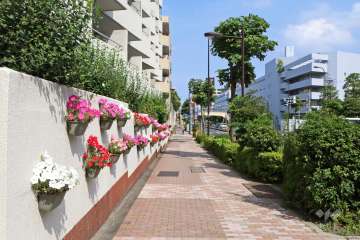 敷地南側の前面道路