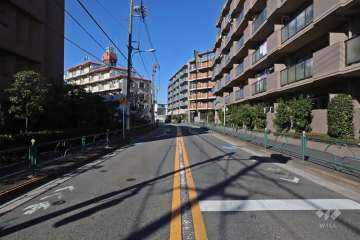 敷地南西側の前面道路（南東側から）