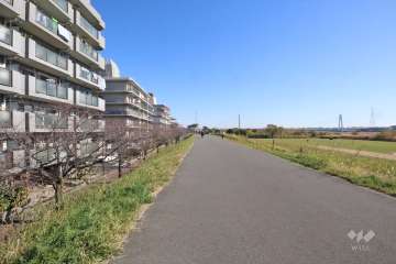 敷地南側の前面道路(西側から)