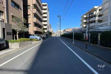 敷地東側の前面道路（南側から）