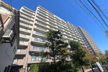 グランイーグル多摩川スカイガーデンの外観（南西側から）