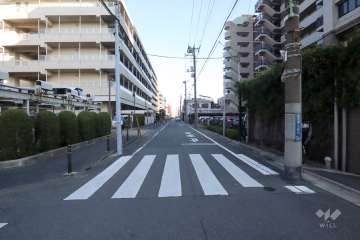 敷地北側の前面道路(東側から)