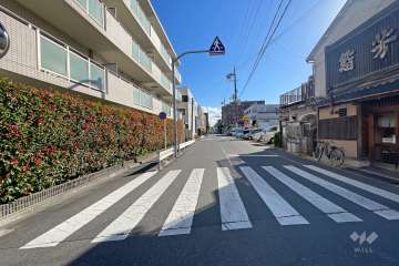 敷地西側の前面道路（北側から）