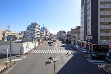 敷地東側の前面道路(北側から)