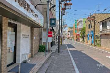 敷地北東側前面道路（南東側から）