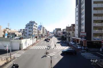 敷地東側の前面道路(南側から)