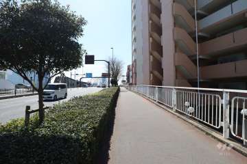 敷地の東側前面道路（北側から）