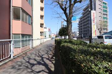 敷地の東側前面道路（南側から）