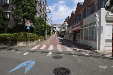 敷地南側の前面道路(西側から)