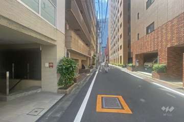 敷地の西側前面道路（北側から）
