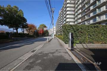 敷地西側の前面道路（南側から）