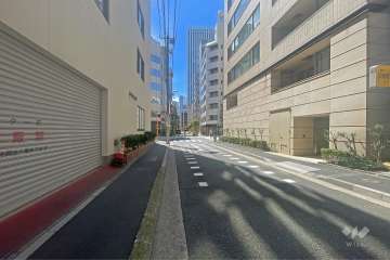 敷地の南側前面道路（東側から）