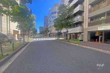 敷地の西側前面道路（南側から）