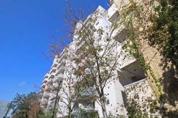 月島ハイツの外観(南東側から)