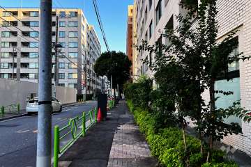 敷地北東側の前面道路（北西側から）