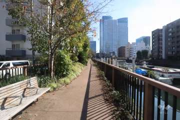 敷地南西側の前面通路