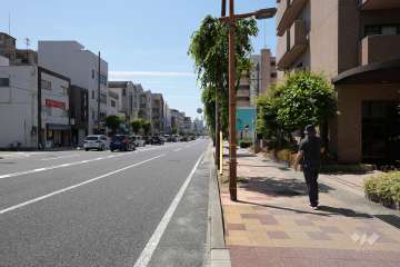 敷地東側の前面道路（北側から）
