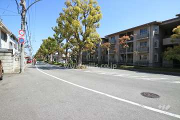 敷地南側の前面道路