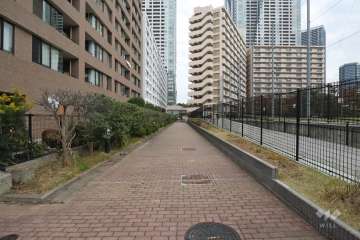 敷地南東側の前面道路　