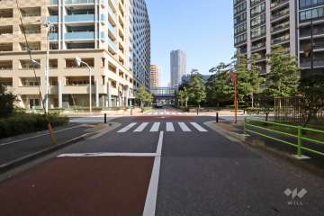 敷地南東側の前面道路(南西側から)