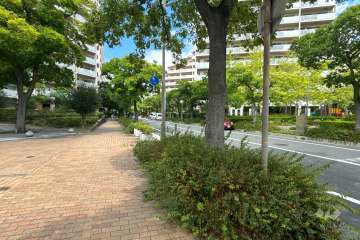 敷地東側の前面道路（南側から）