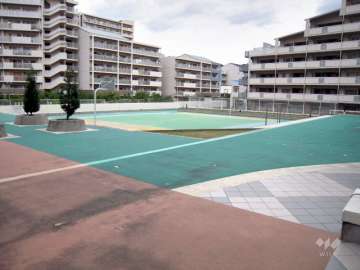 ボールゲーム用のコート