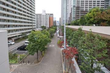 敷地南西側の前面道路(南東側から)