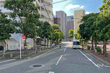 敷地の西側前面道路（北側から）