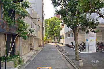敷地の東側前面道路（北側から）