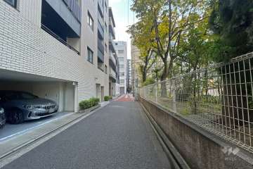 敷地の南西側前面道路（北西側から）