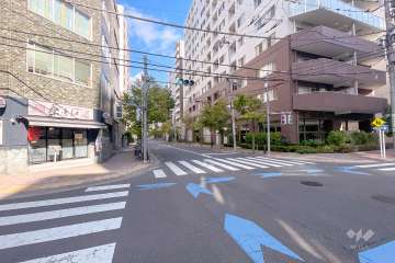 敷地北西側の前面道路（南西側から）