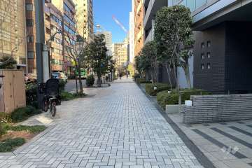 敷地南西側の前面道路　