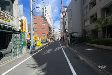 敷地の西側前面道路（南側から）