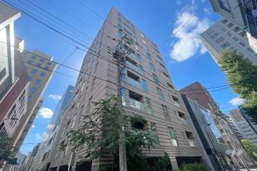 グリーンパーク新富町の外観（北西側から）　