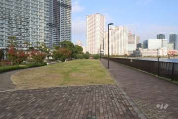 敷地南東側の前面道路　