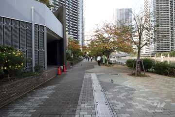 敷地北西側の前面道路(北東側から)