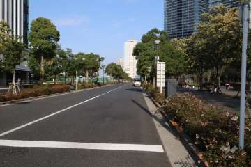 敷地北西側の前面道路(西側から)