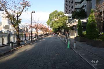 敷地北西側の前面道路(西側から)