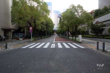 敷地南東側の前面道路(西側から)