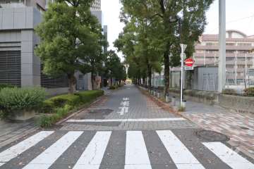敷地北東側の前面道路