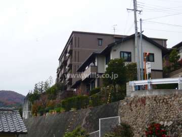 周辺の建物とは間隔があります