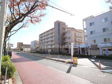 敷地北側の前面道路（県道342号線）