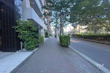 敷地北東側の前面道路